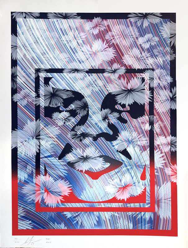 Shepard Fairey x Kai & Sunny - Wild Icon